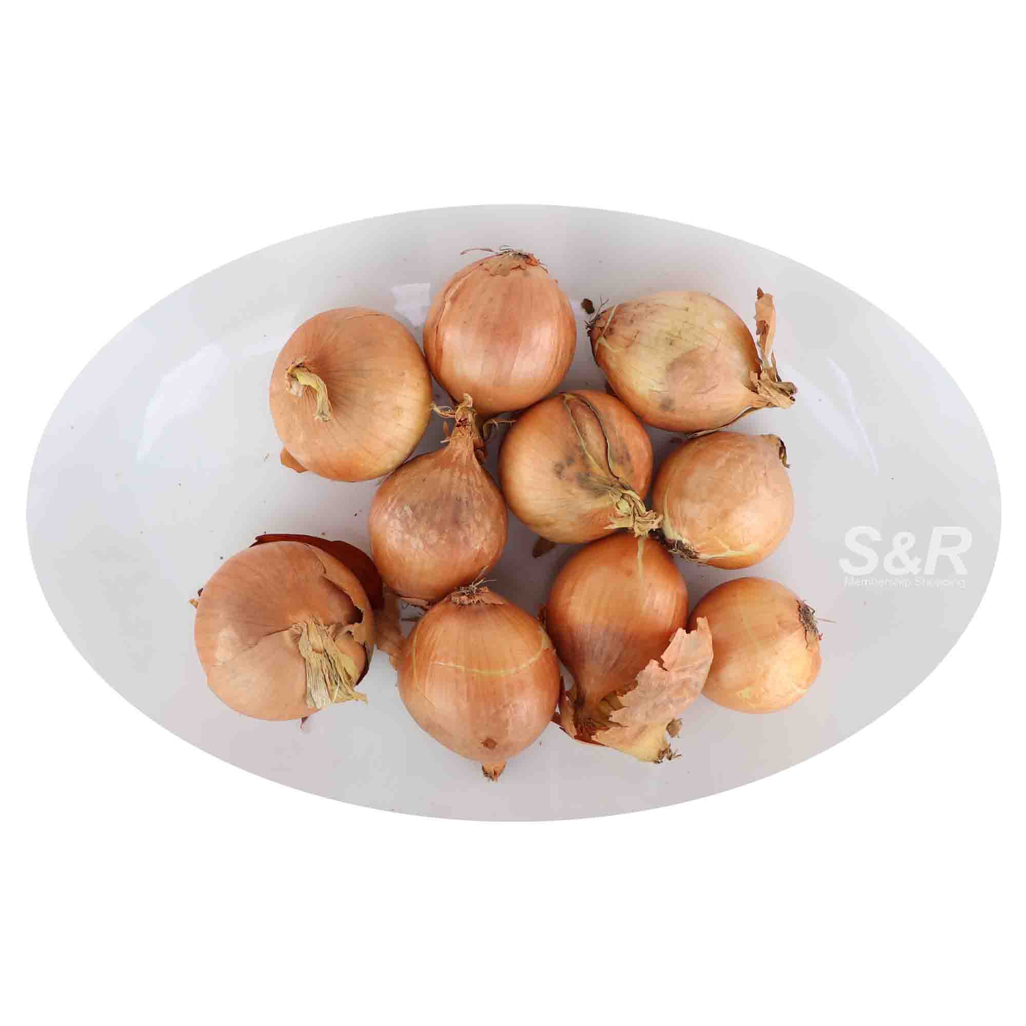 S&R White Onion approx. 1.2kg